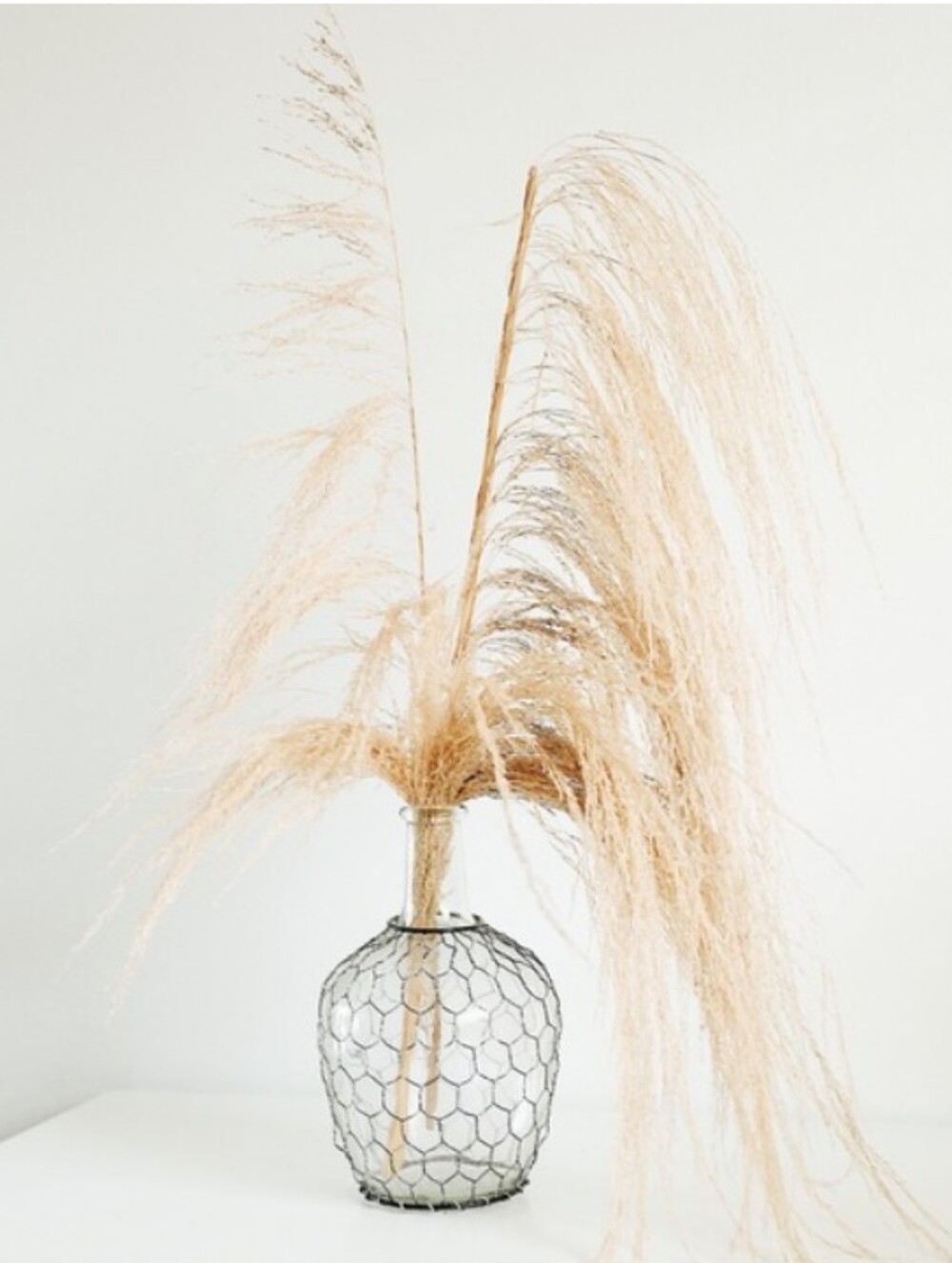Anthropologie Caged Jug Vase